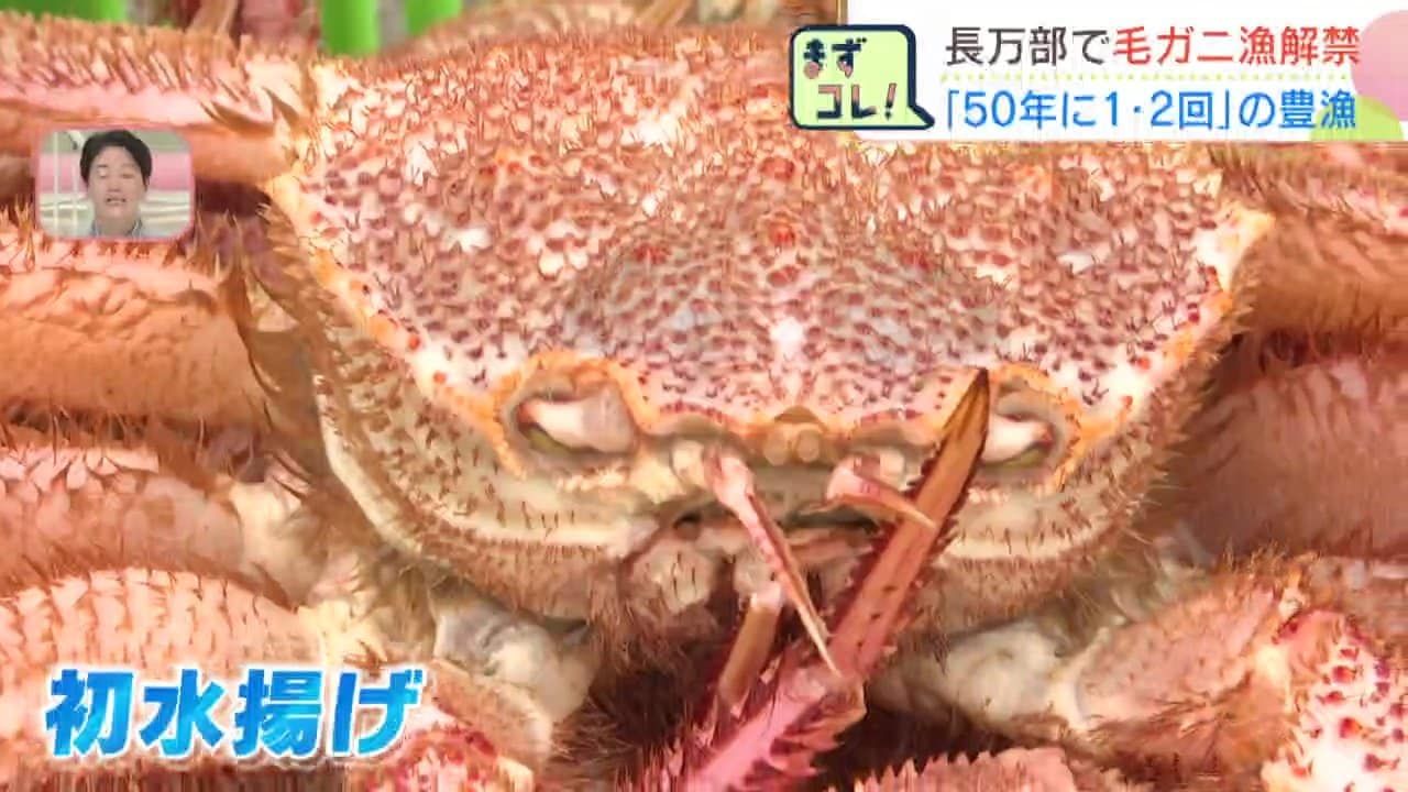 いっちゃんおいしいHBC｜HBC北海道放送