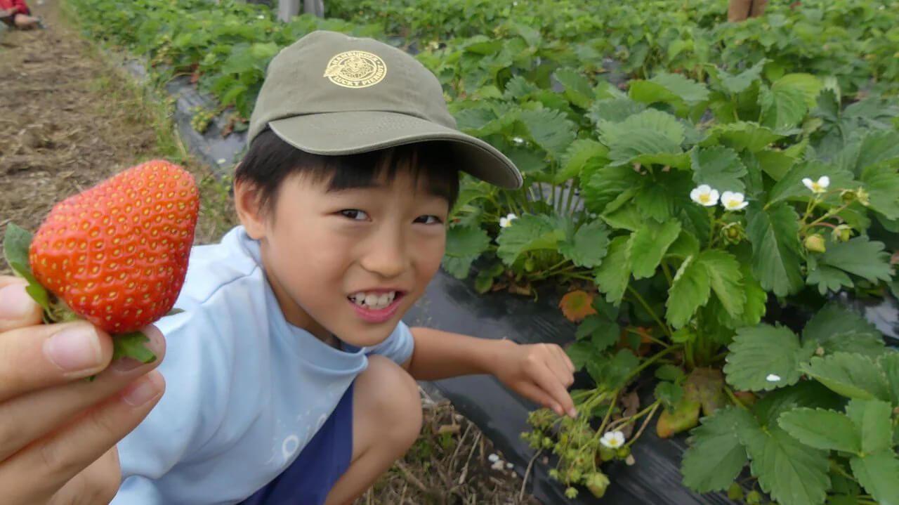いっちゃんおいしいHBC｜HBC北海道放送