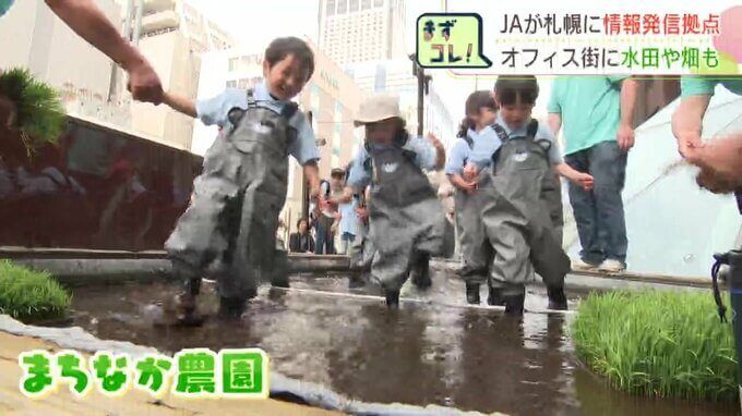 いっちゃん農園 いっちゃんおいしいHBC｜HBC北海道放送