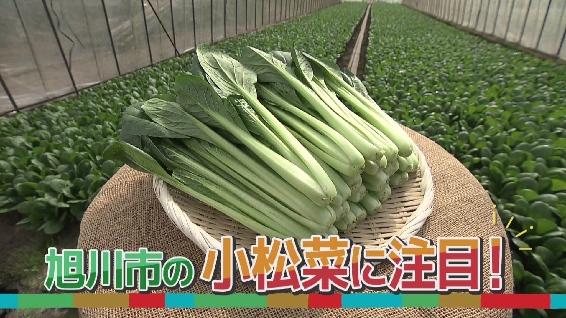 いっちゃんおいしいHBC｜HBC北海道放送