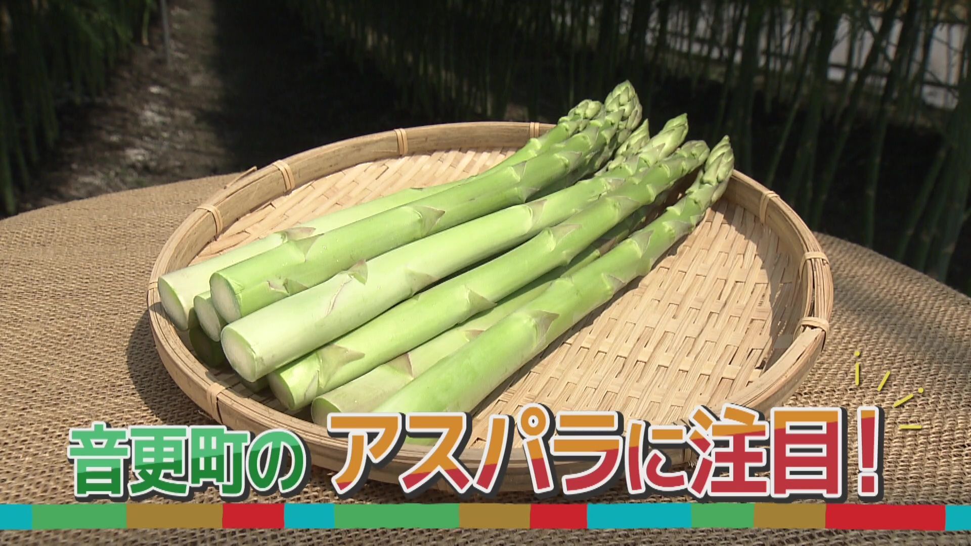 K☆191 ーー 　北海道送料込み いっちゃんおいしいHBC｜HBC北海道放送