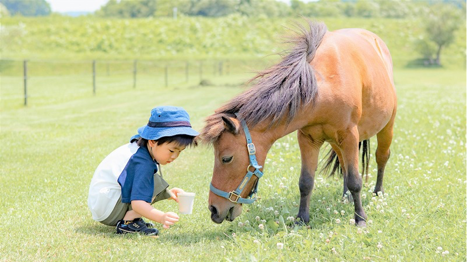 世界最小のお馬さんとふれあえる とっておきのスポット！獣医師ママ