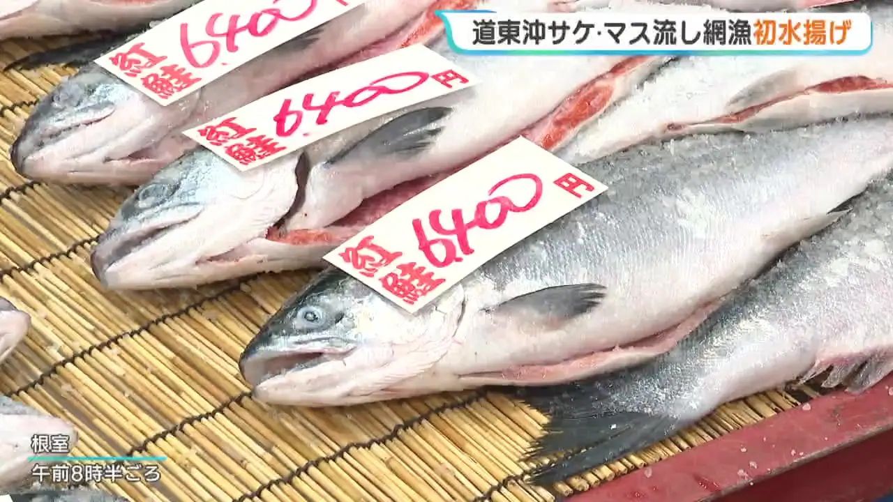 いっちゃんおいしいHBC｜HBC北海道放送