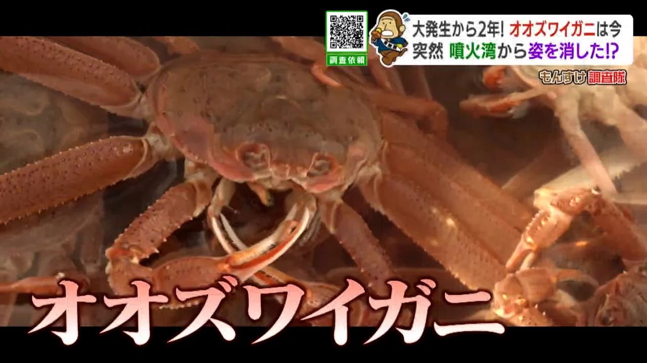 いっちゃんおいしいHBC｜HBC北海道放送