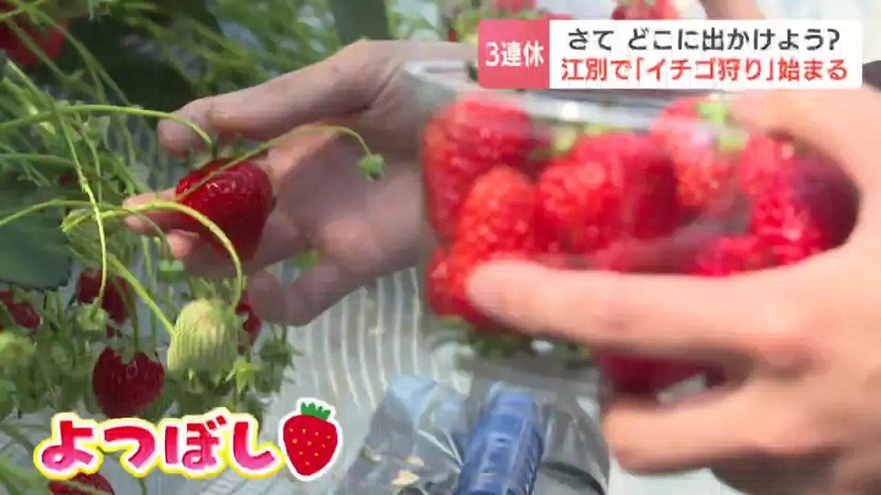 いっちゃんおいしいHBC｜HBC北海道放送