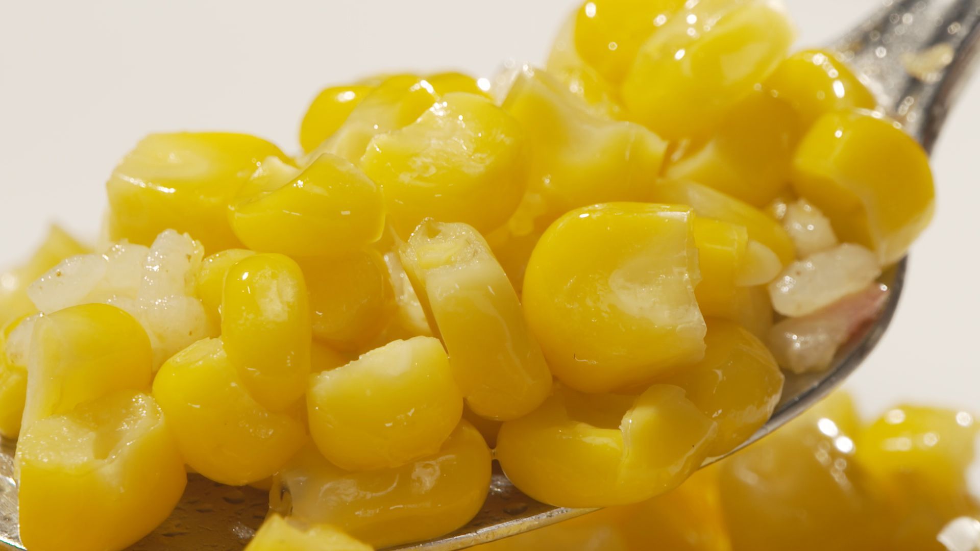 ここに美味あり!~いっちゃんおいしい北海道~|HBC北海道放送