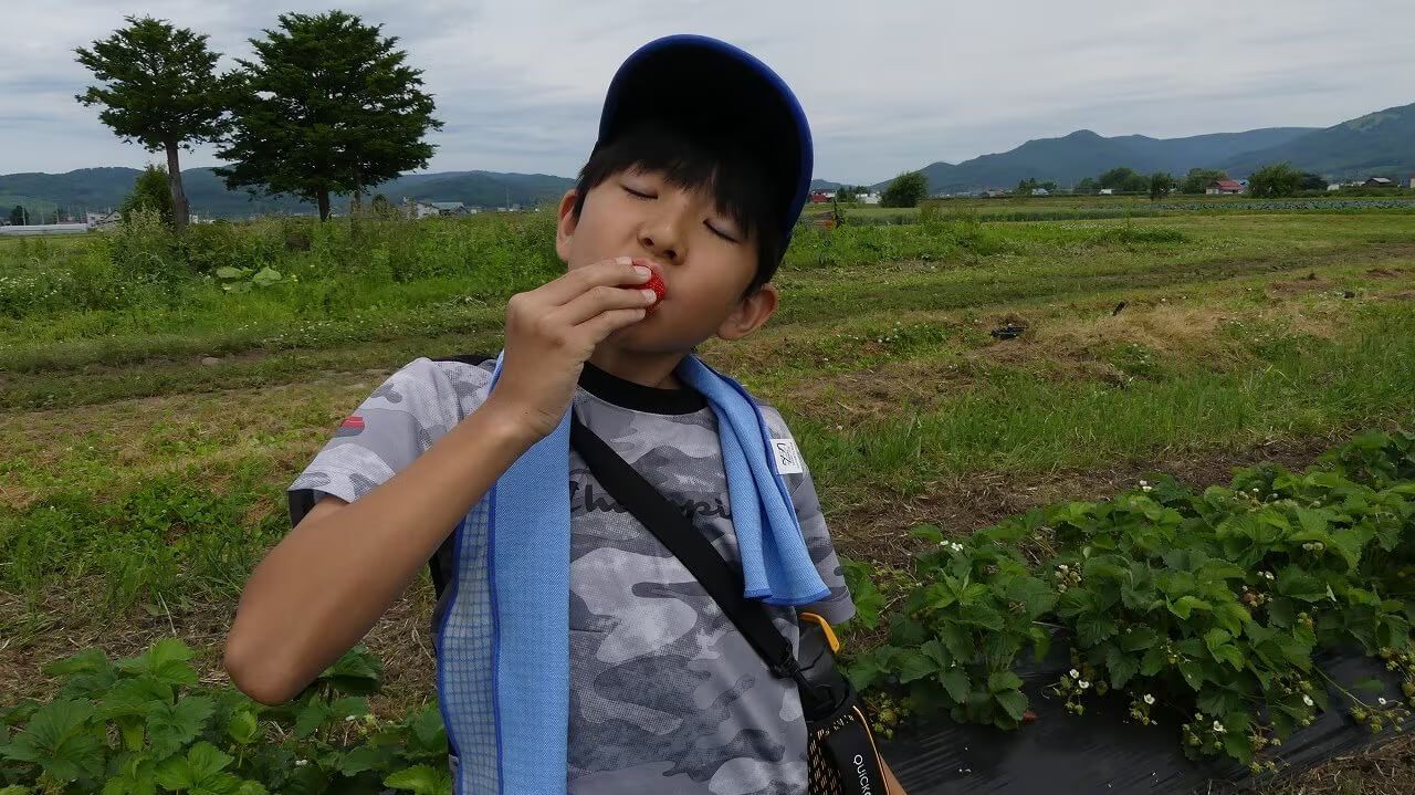 いっちゃんおいしいHBC｜HBC北海道放送