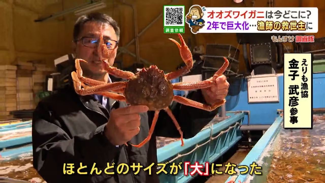 いっちゃんおいしいHBC｜HBC北海道放送
