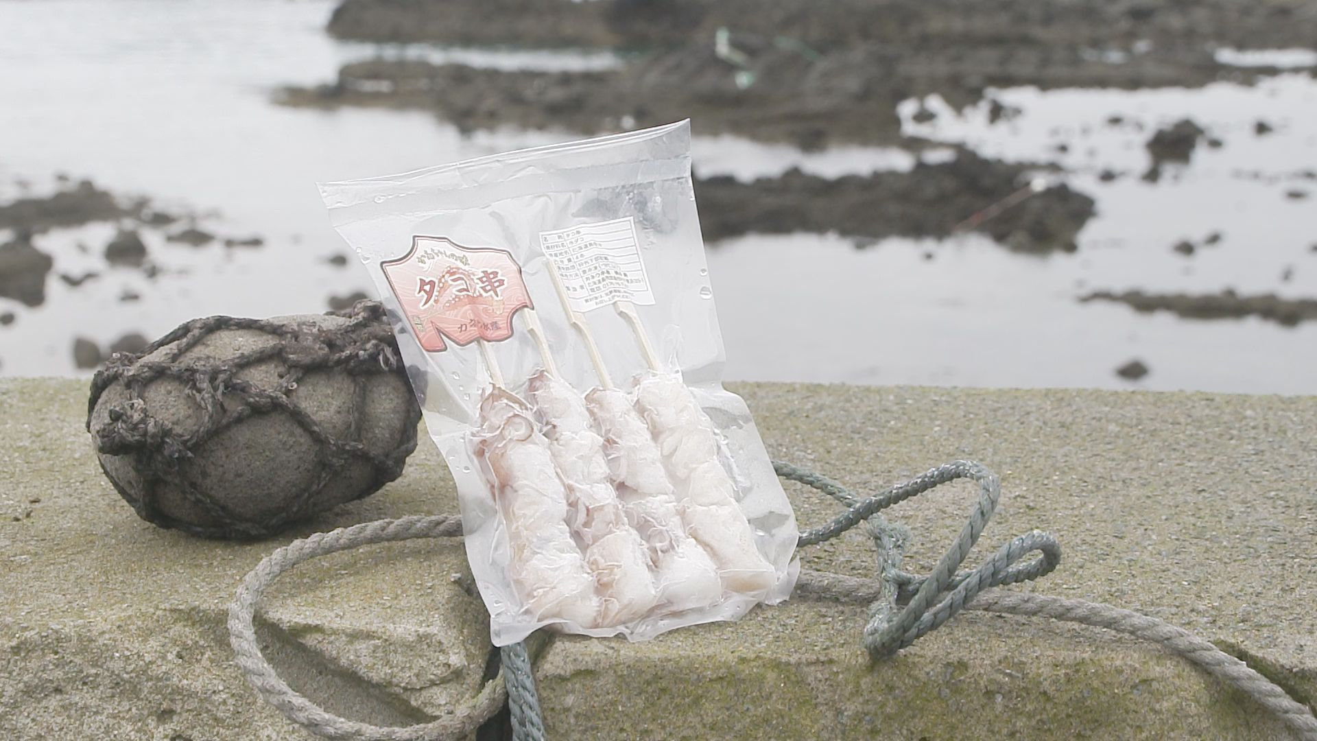 2024年9月22日放送 島牧村「カネウ水産のタコ串」:ここに美味あり