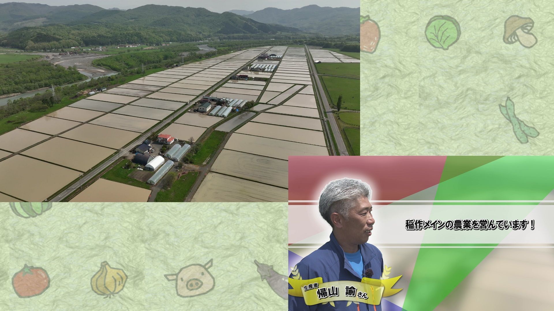 ♯710 米シリーズ新ひだか町静内 田植え編 :あぐり王国北海道NEXT｜HBC