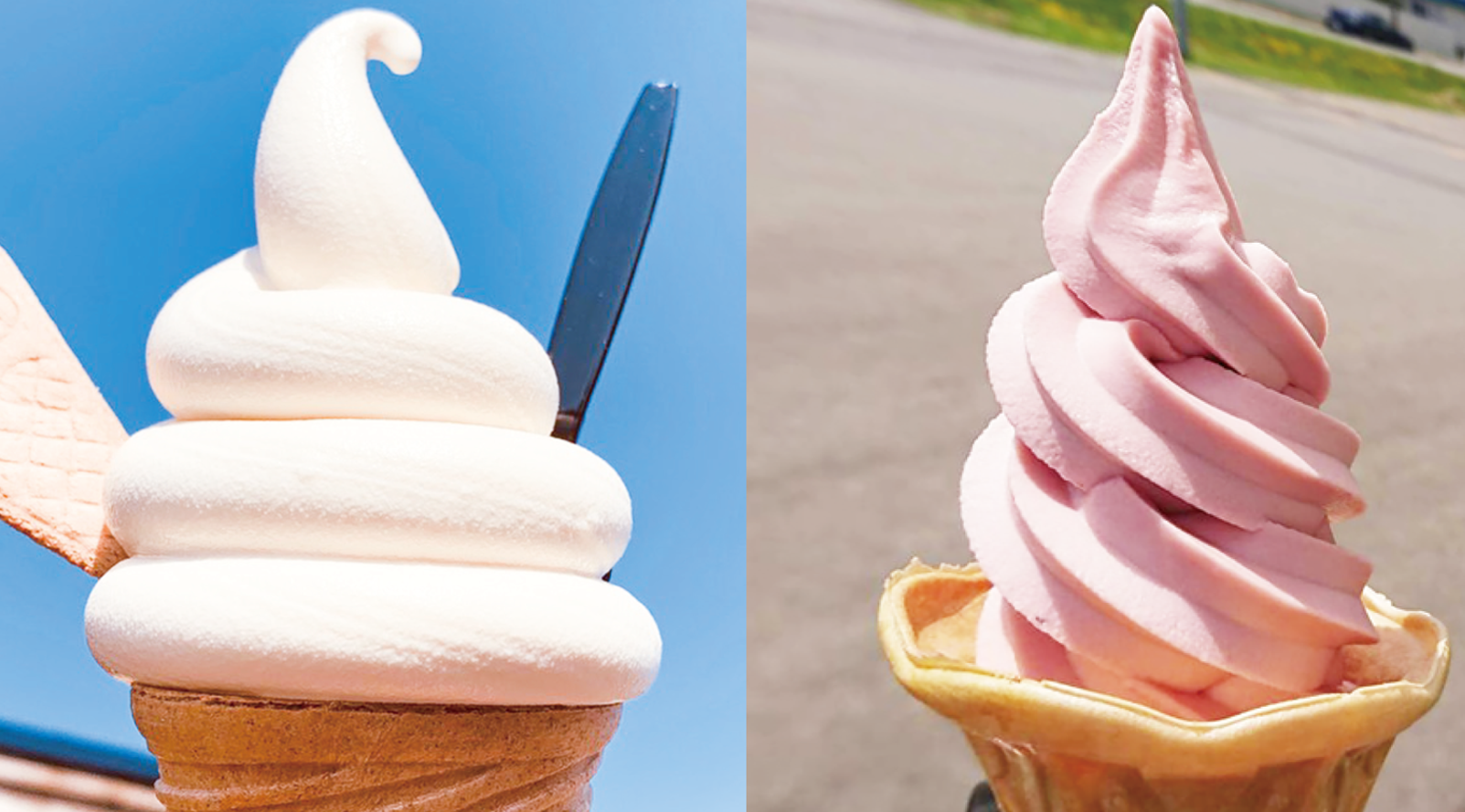 9選】十勝（芽室町・鹿追町・清水町・新得町）のおいしいソフト