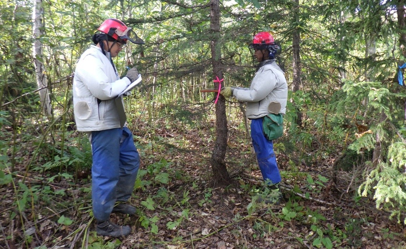 森のしごと帖｜北海道森林組合連合会のWEBメディア