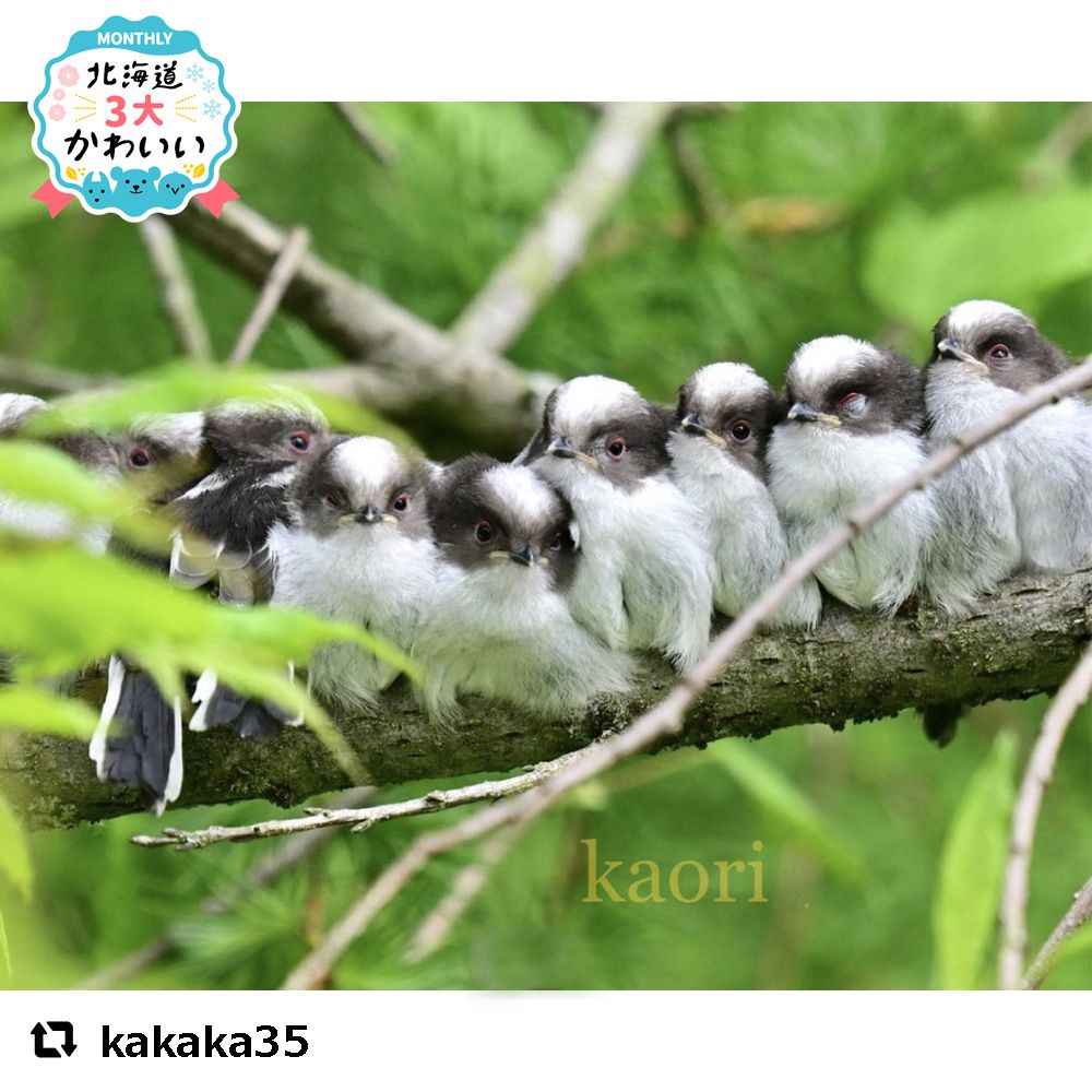 今月の1枚」2021年6月｜Sitakke【したっけ】