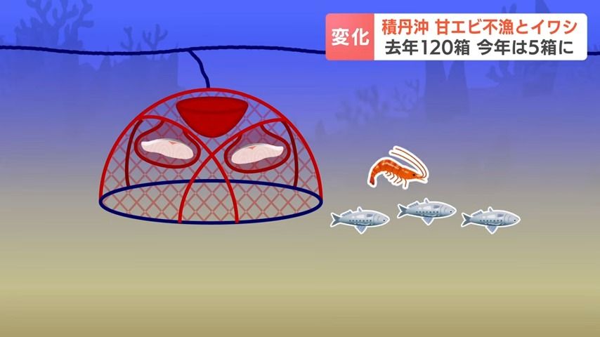 いっちゃんおいしいHBC｜HBC北海道放送