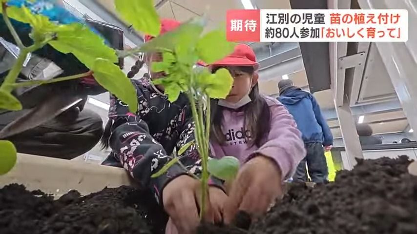 いっちゃんおいしいHBC｜HBC北海道放送