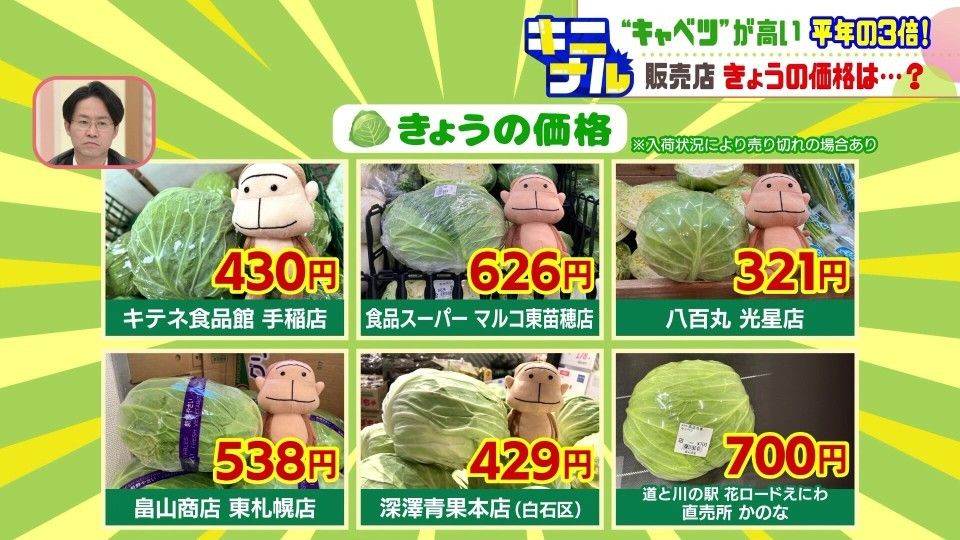 キニナル】キャベツ高値止まらず…農水省発表の平均価格534円と平年の約