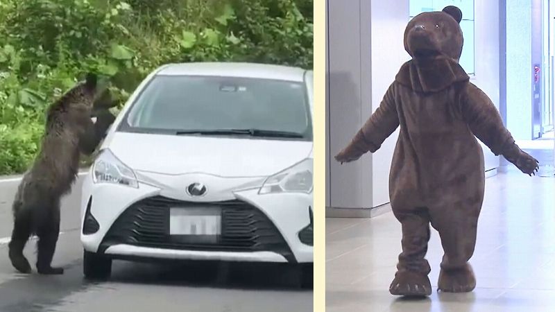 クマに会ったらどうする？札幌の“チカホ”に現れた「クマさん」たちが