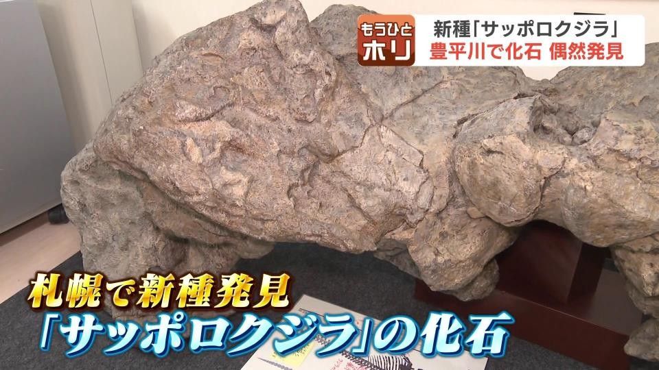 海のない札幌で医師が偶然発見「これはろっ骨だ」発掘で正体を現したの