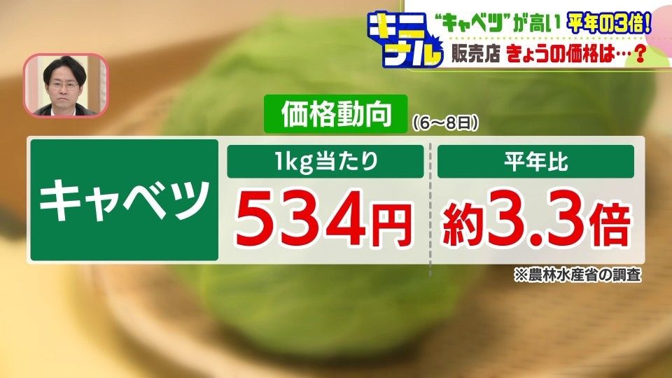キニナル】キャベツ高値止まらず…農水省発表の平均価格534円と平年の約