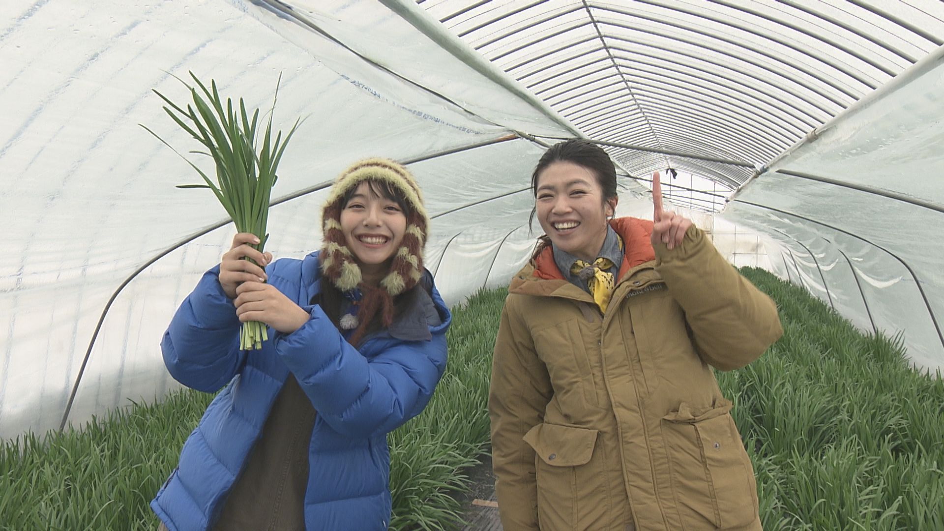 菊型 手あぶり 手焙 黄色 緑 共箱 銘 寶山 モリモリゆうか便り #114:あぐり王国北海道NEXT｜HBC北海道放送