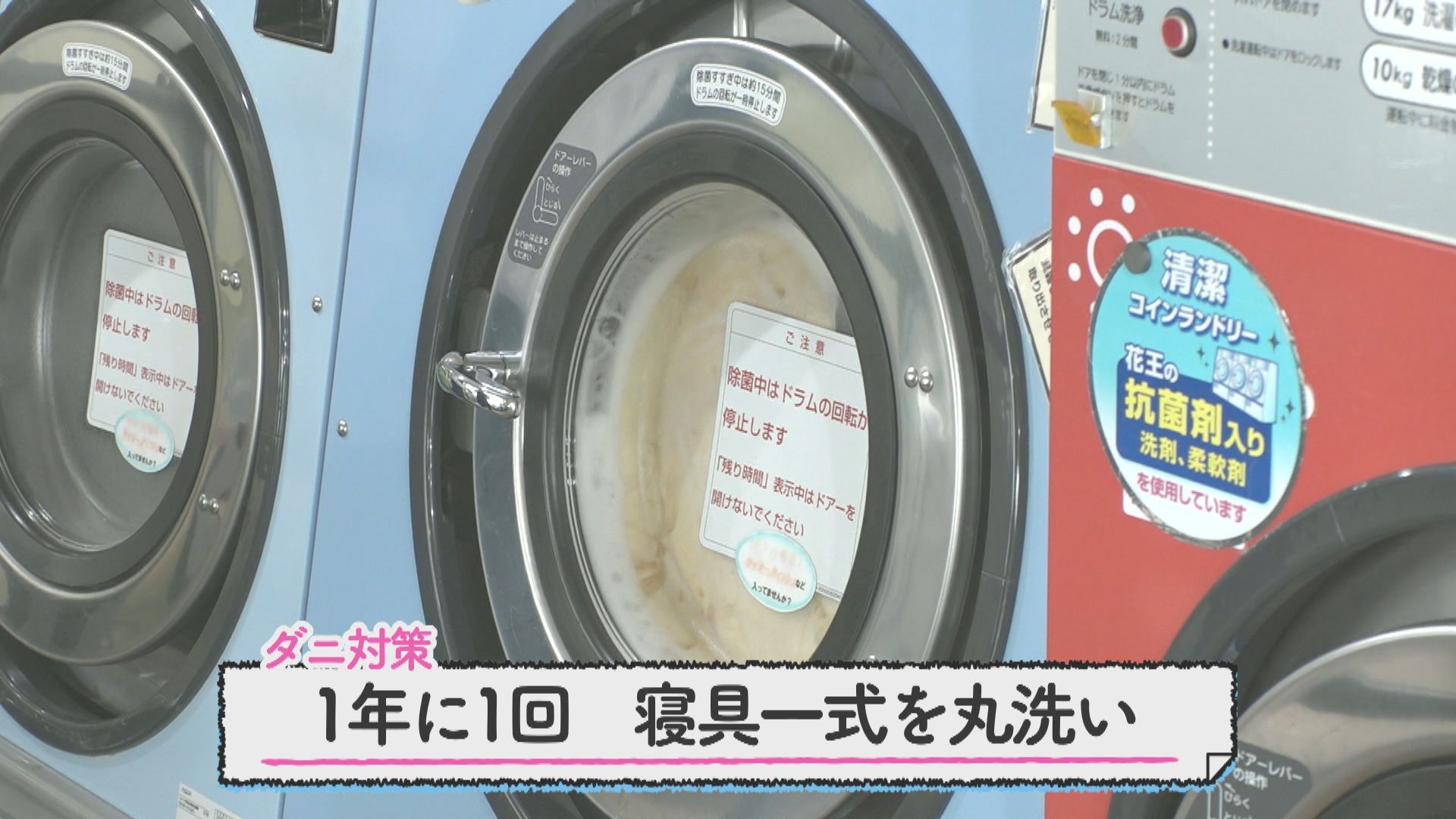４月１４日（水）】家事チャレ！「春のコインランドリー活用術～掛け布団編」:今日ドキッ！｜HBC北海道放送