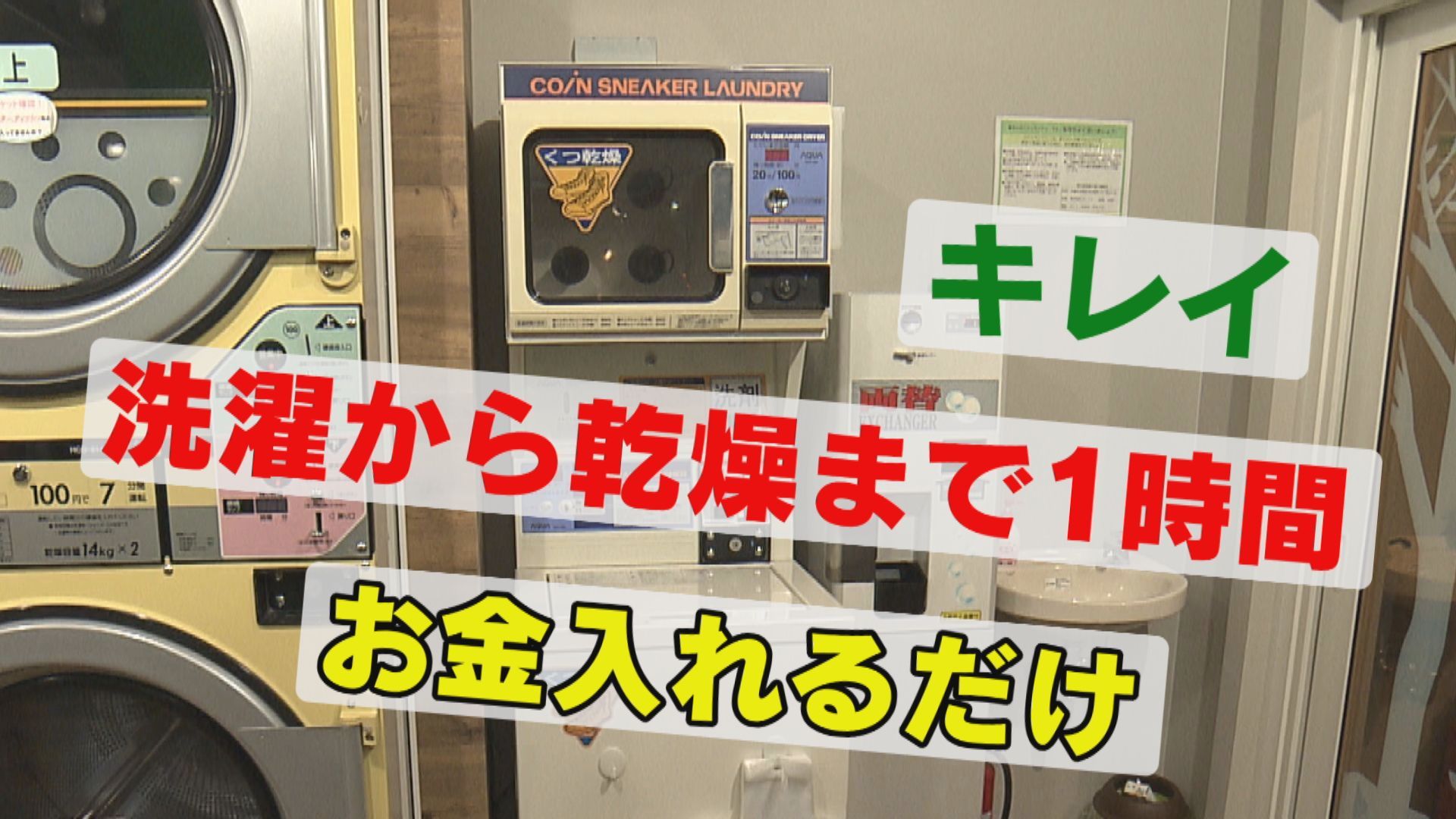 ４月１５日（木）放送】家事チャレ「春のコインランドリー活用術～でスニーカー＆ぬいぐるみ編」:今日ドキッ！｜HBC北海道放送