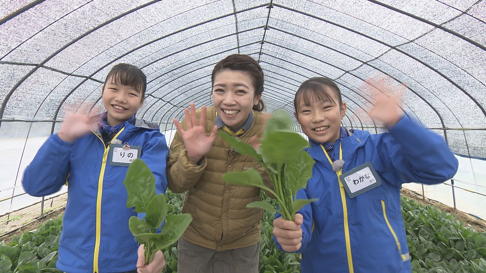 モリモリゆうか便り #81:あぐり王国北海道NEXT｜HBC北海道放送