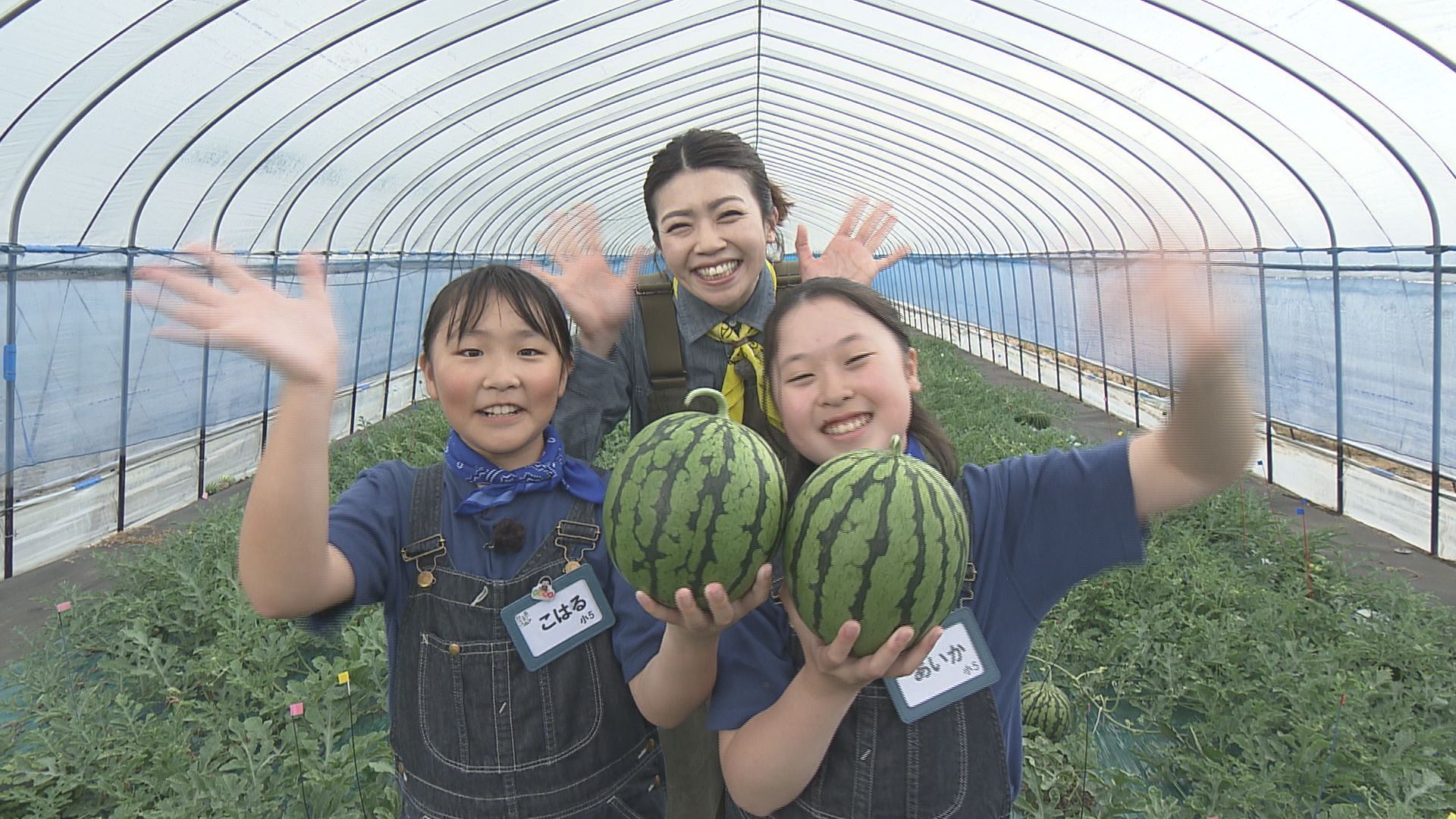 モリモリゆうか便り #86:あぐり王国北海道NEXT｜HBC北海道放送