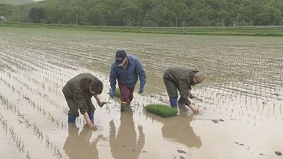 有森 裕二ページ モリモリゆうか便り #18:あぐり王国北海道NEXT｜HBC北海道放送