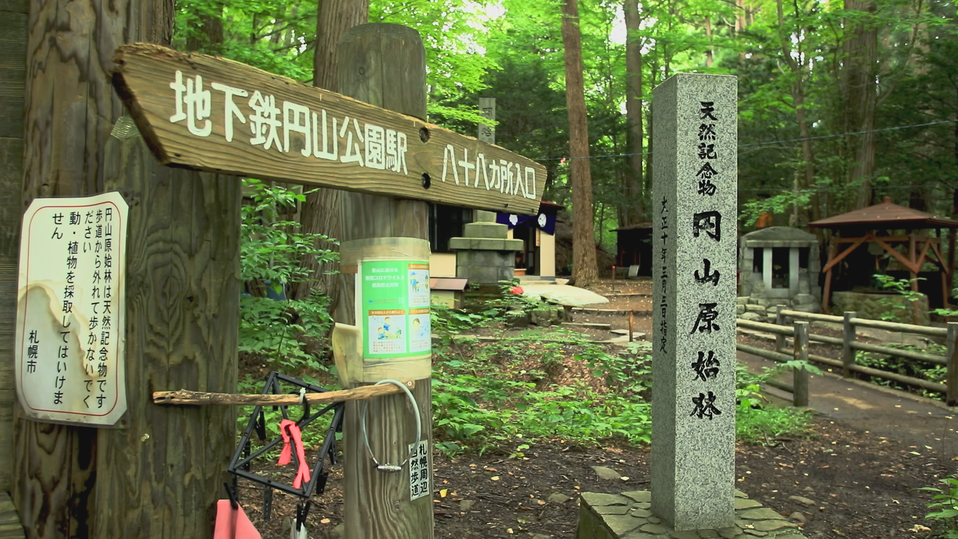 11「円山・藻岩山原始林」9月11日放送:サッポロスマイル｜HBC北海道放送