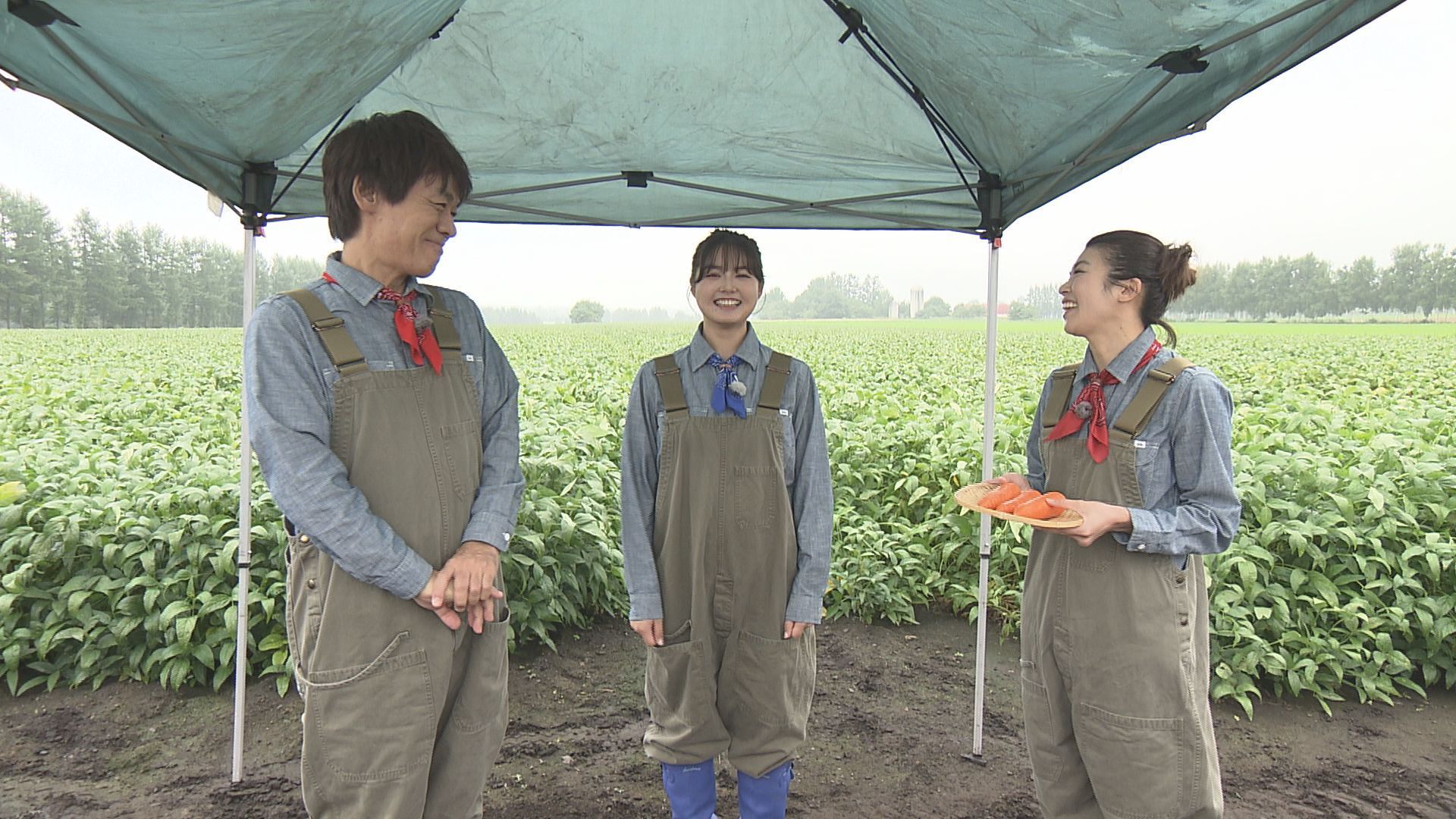 ♯808 新得町・ニンジン 編:あぐり王国北海道NEXT｜HBC北海道放送