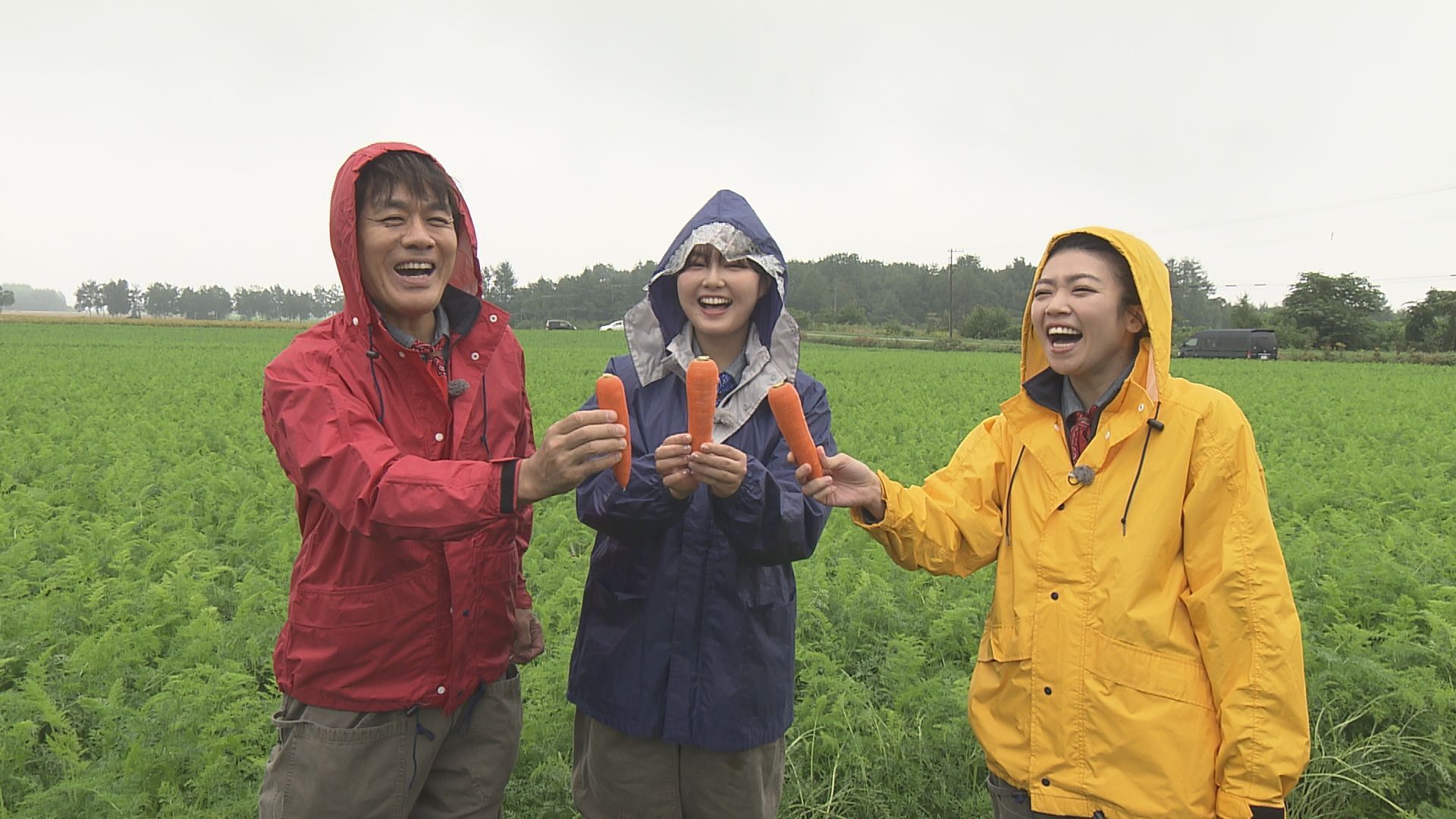 モリモリゆうか便り #96:あぐり王国北海道NEXT｜HBC北海道放送