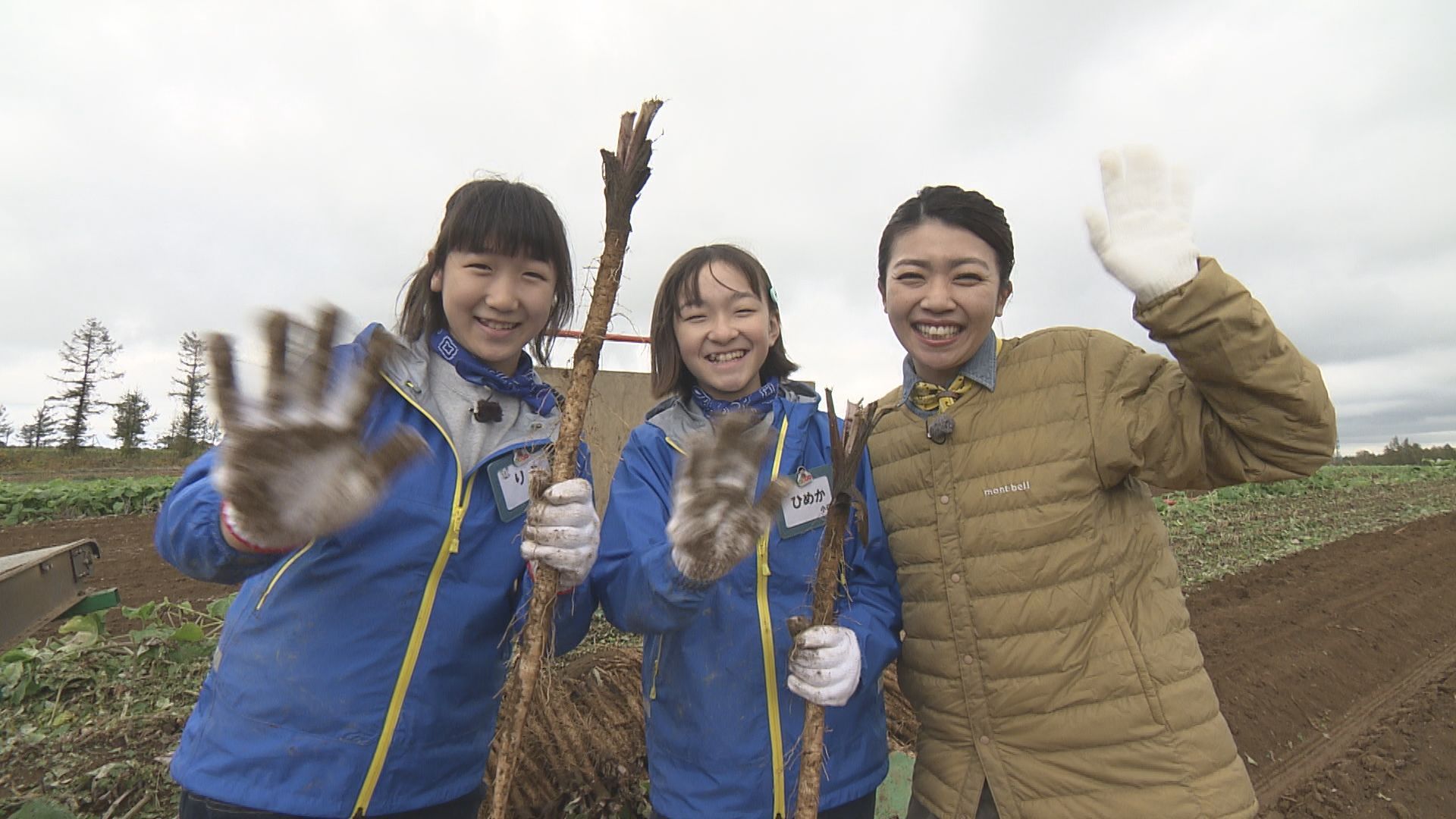 あぐり王国北海道NEXT:モリモリゆうか便り一覧｜HBC北海道放送