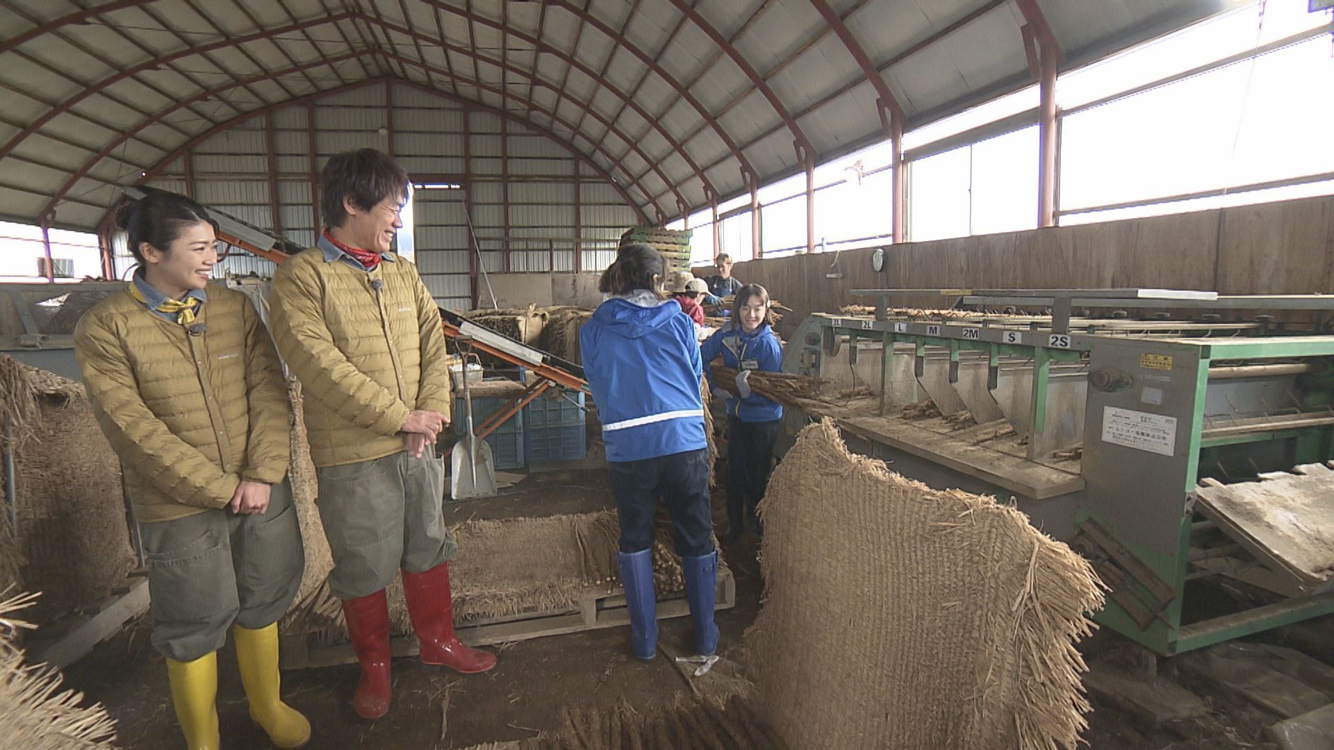 モリモリゆうか便り #99:あぐり王国北海道NEXT｜HBC北海道放送