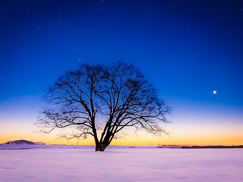 冬の星空を求めて。新月の夜、旅に出た。」【#北海道ひみつの絶景旅③
