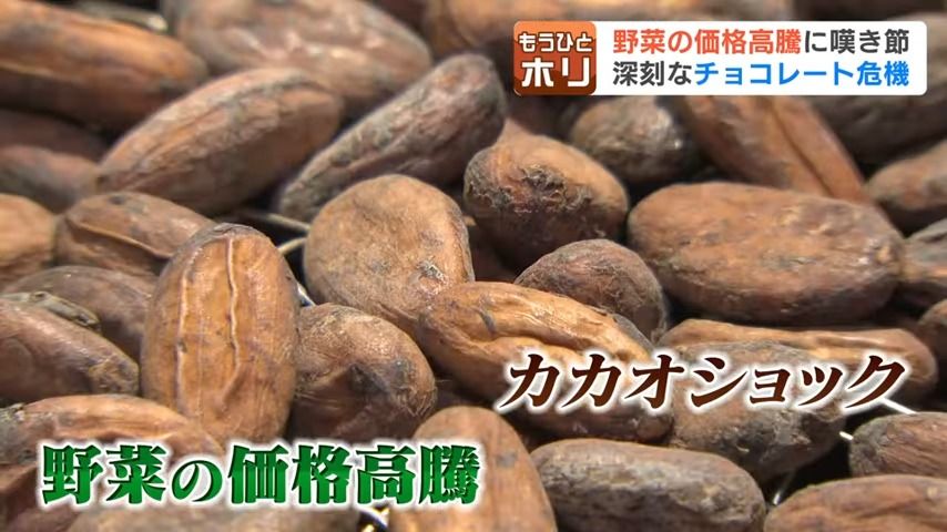 いっちゃんおいしいHBC｜HBC北海道放送