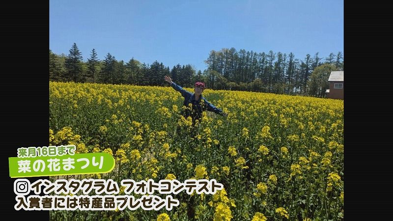 卓アキぶらりサーチ」菜の花祭り開催中の滝川市（5月19日放送）:今日