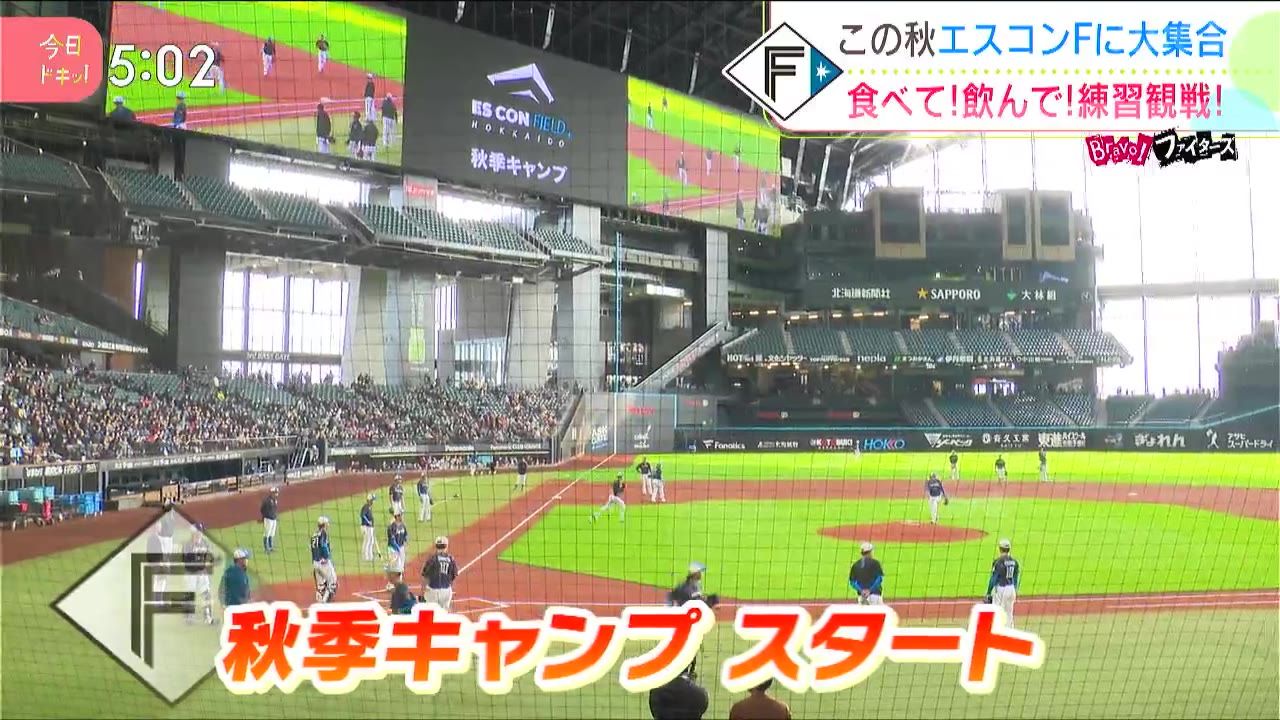 ファイターズ 秋季 キャンプ