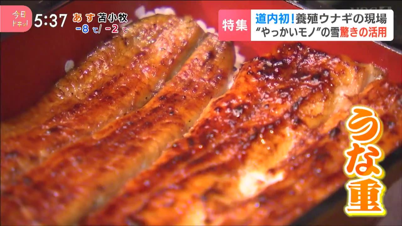 特集】やっかいモノの雪を宝モノに！廃熱で温めた水でウナギを養殖…雪