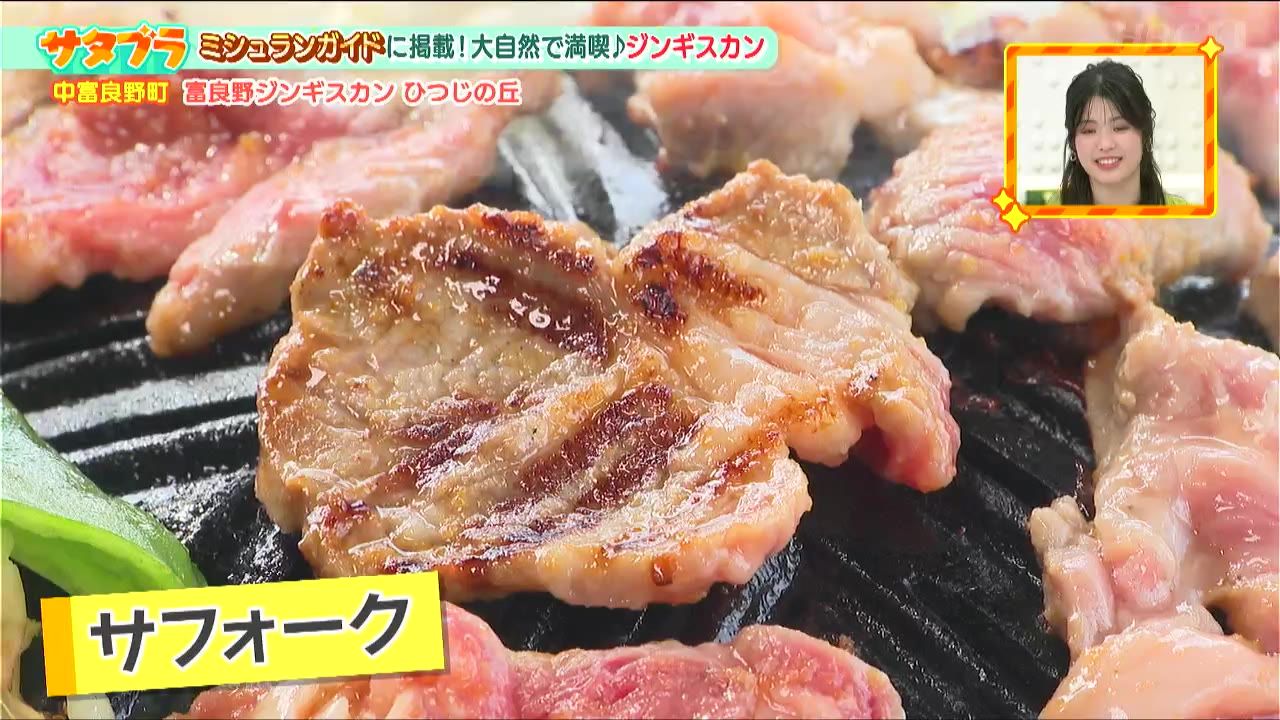【中古】 星野麦丘人集/牧羊社/星野麥丘人 星野麦丘人集/牧羊社/星野麥丘人
