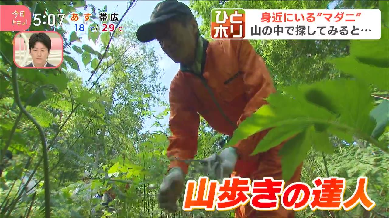 ひとホリ】夏のマダニに気を付けろ！発熱やけいれんなどを引き起こす