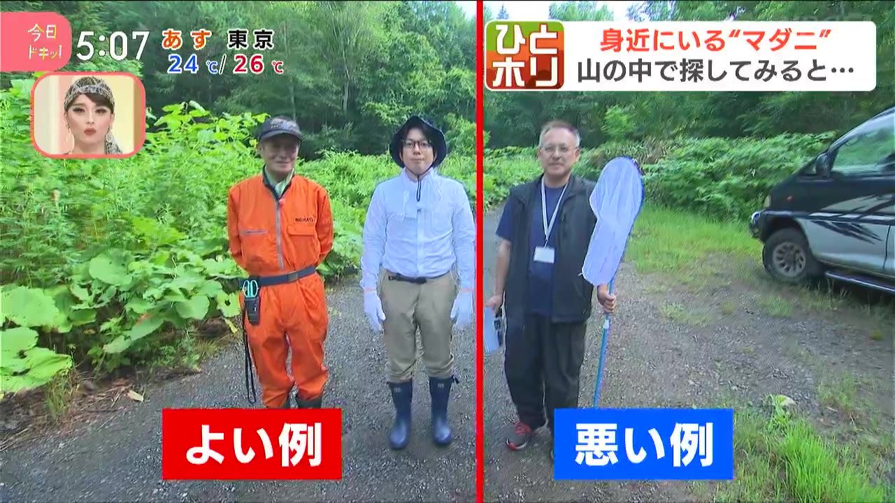 ひとホリ】夏のマダニに気を付けろ！発熱やけいれんなどを引き起こす