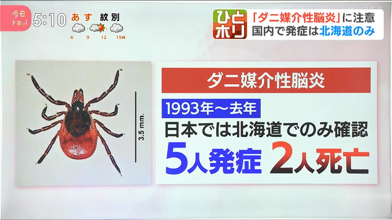 ひとホリ】夏のマダニに気を付けろ！発熱やけいれんなどを引き起こす
