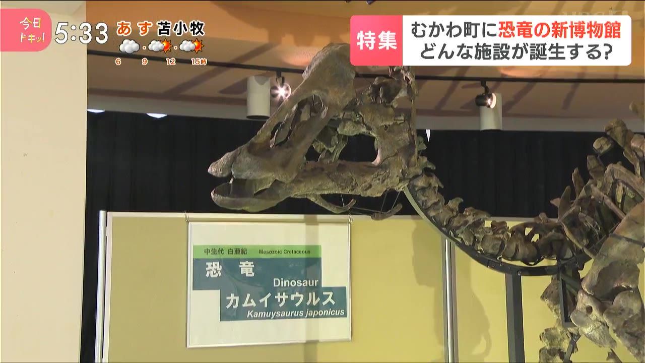 特集】場所が狭くてしっぽを展示できない…新種の恐竜「カムイ