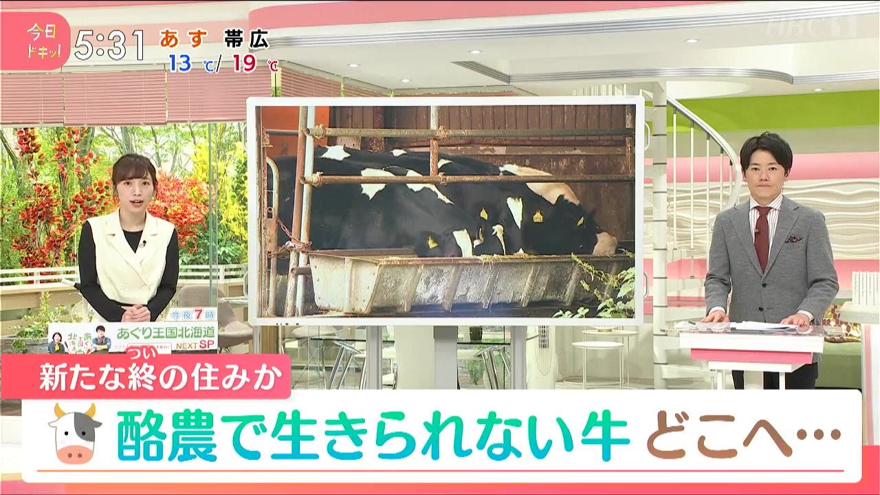 2025年4月号 | 家の光協会