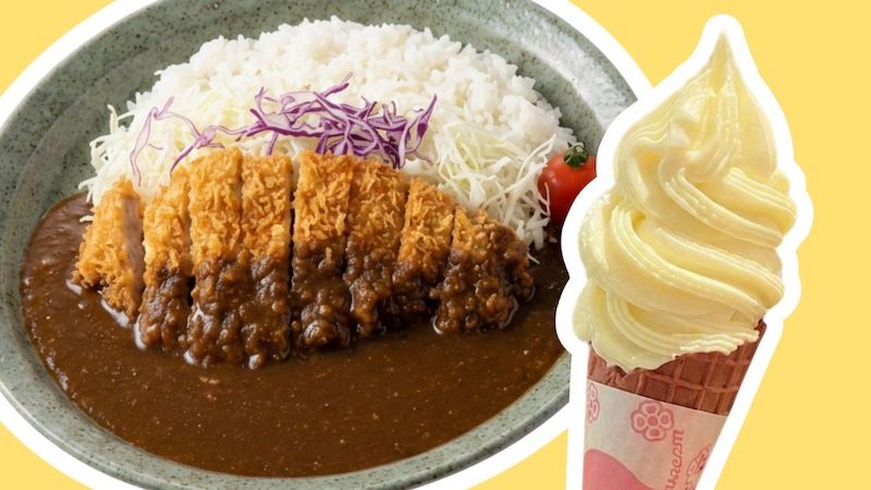 食べた瞬間に牛乳になる？！」トンカツ後に食べたい、さっぱりソフト