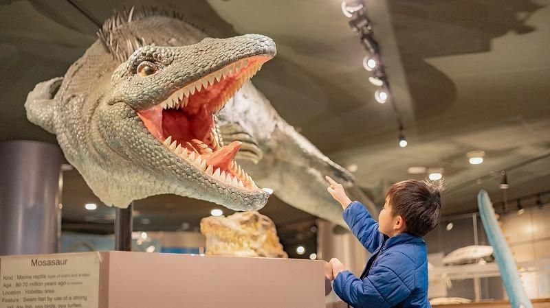 町全体が「恐竜ワールド」！日本屈指の発見がざくざくの博物館を