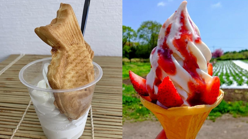 6選】「たい焼1匹入ります」「採れたて完熟いちごトッピング」函館市で