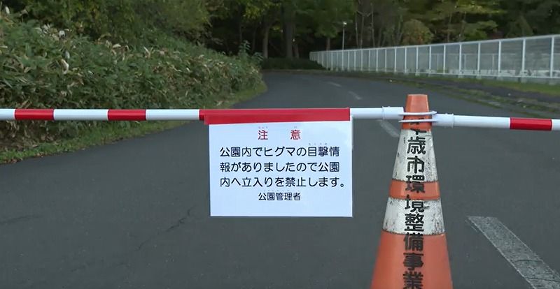 千歳】青葉公園でクマ1頭の目撃情報 公園への立ち入り禁止（2024年10