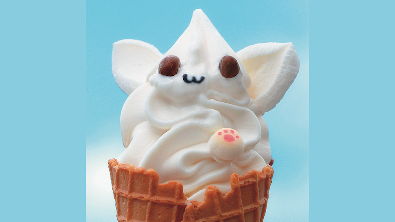 5選】「ねこソフト」の自慢は見た目だけじゃない！北海道帯広市で注目